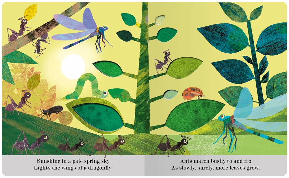 Bugs: A Peek Through Picture Book