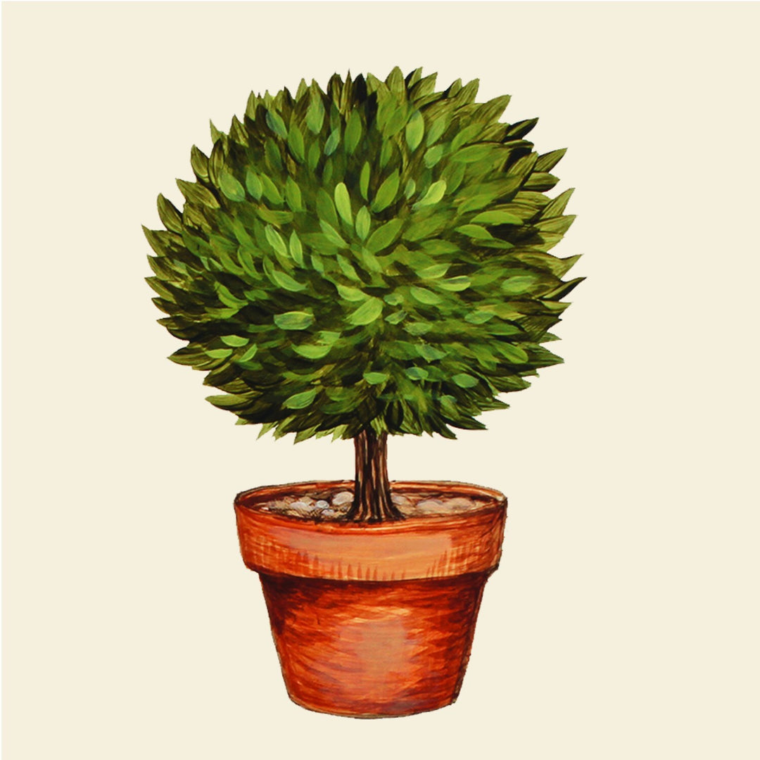 Topiary Cocktail Napkins Pack of 20