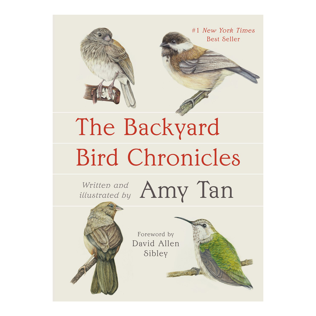 Backyard Bird Chronicles