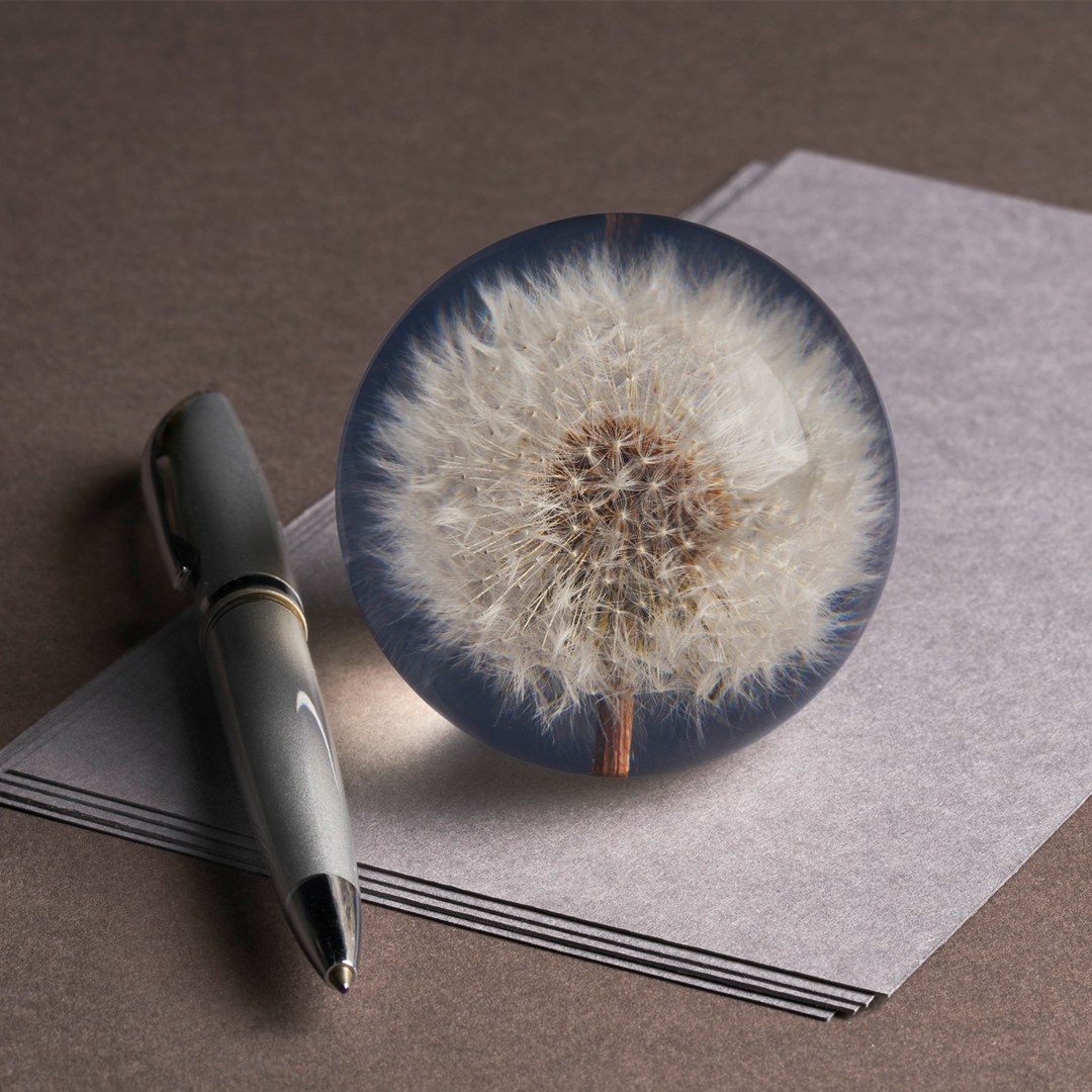 Dandelion Paperweight Small