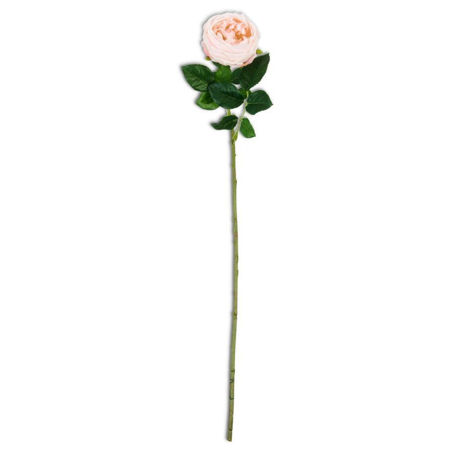 24in Real Touch Austin Rose Stem Peach