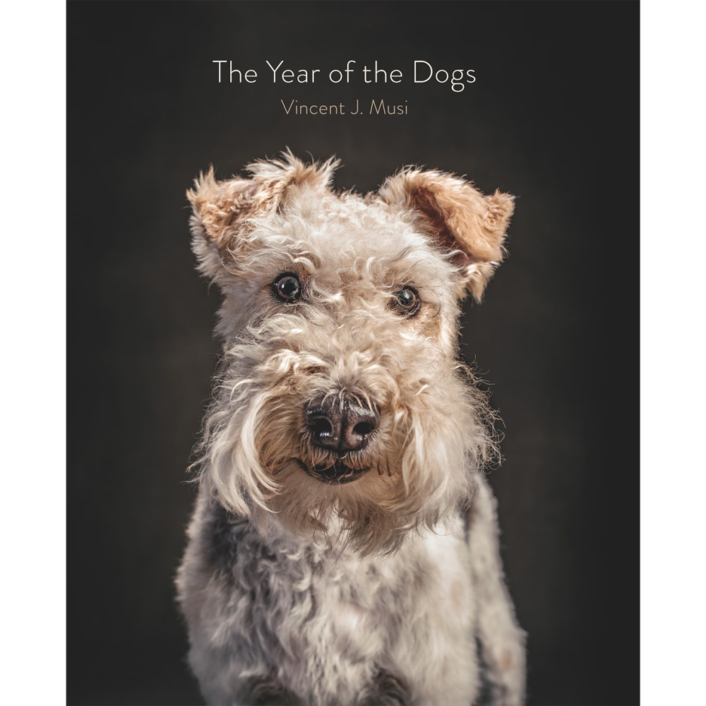 Year Of The Dogs