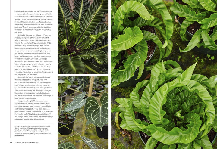 Terrain: The Houseplant Book