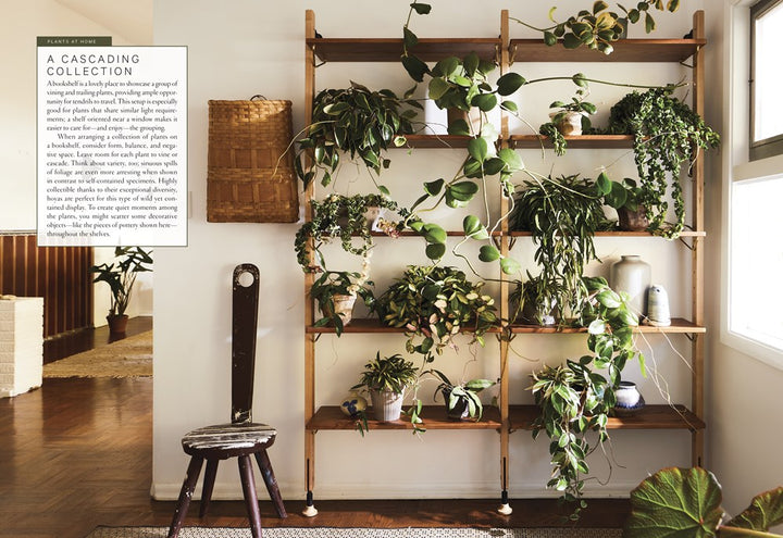 Terrain: The Houseplant Book