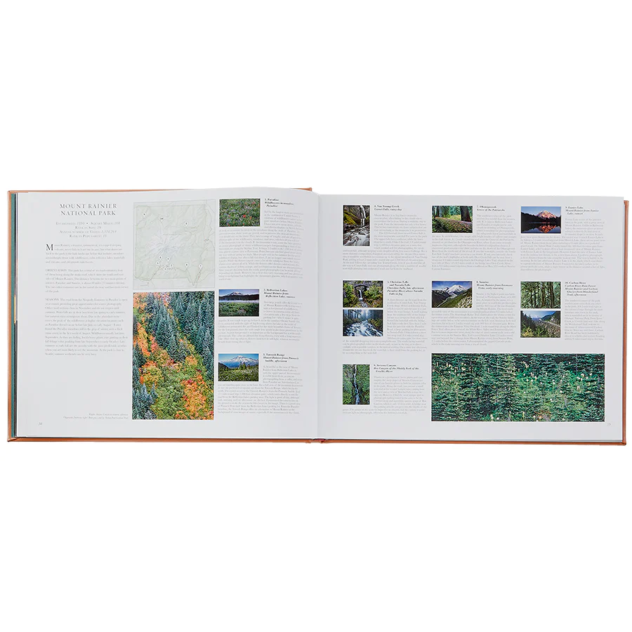 Treasured Lands Tan Bonded Leather