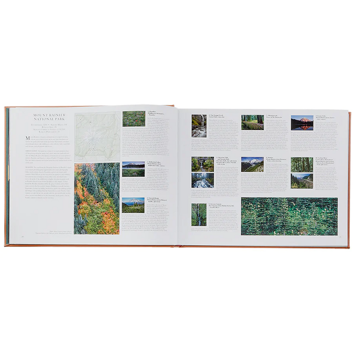 Treasured Lands Tan Bonded Leather