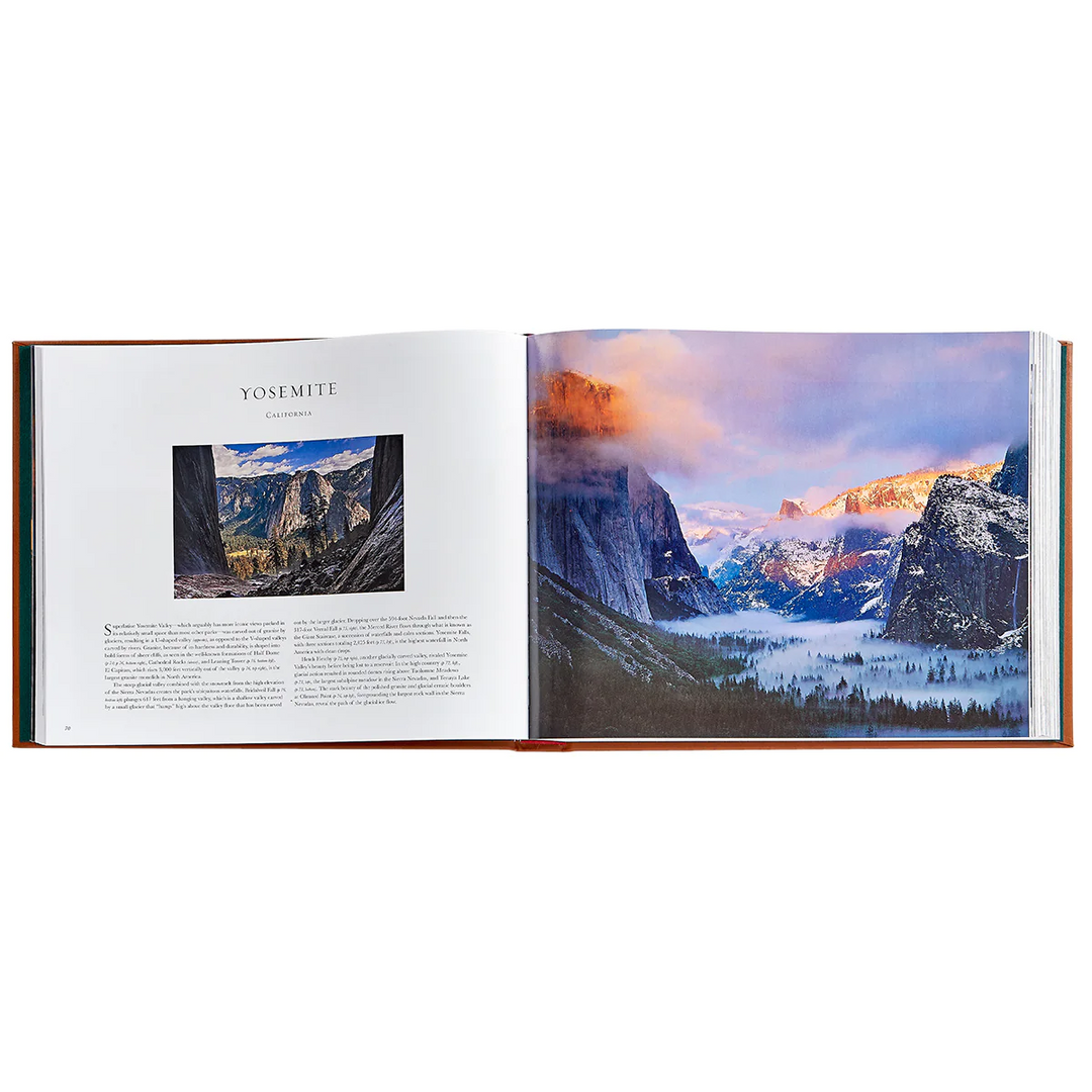 Treasured Lands Tan Bonded Leather