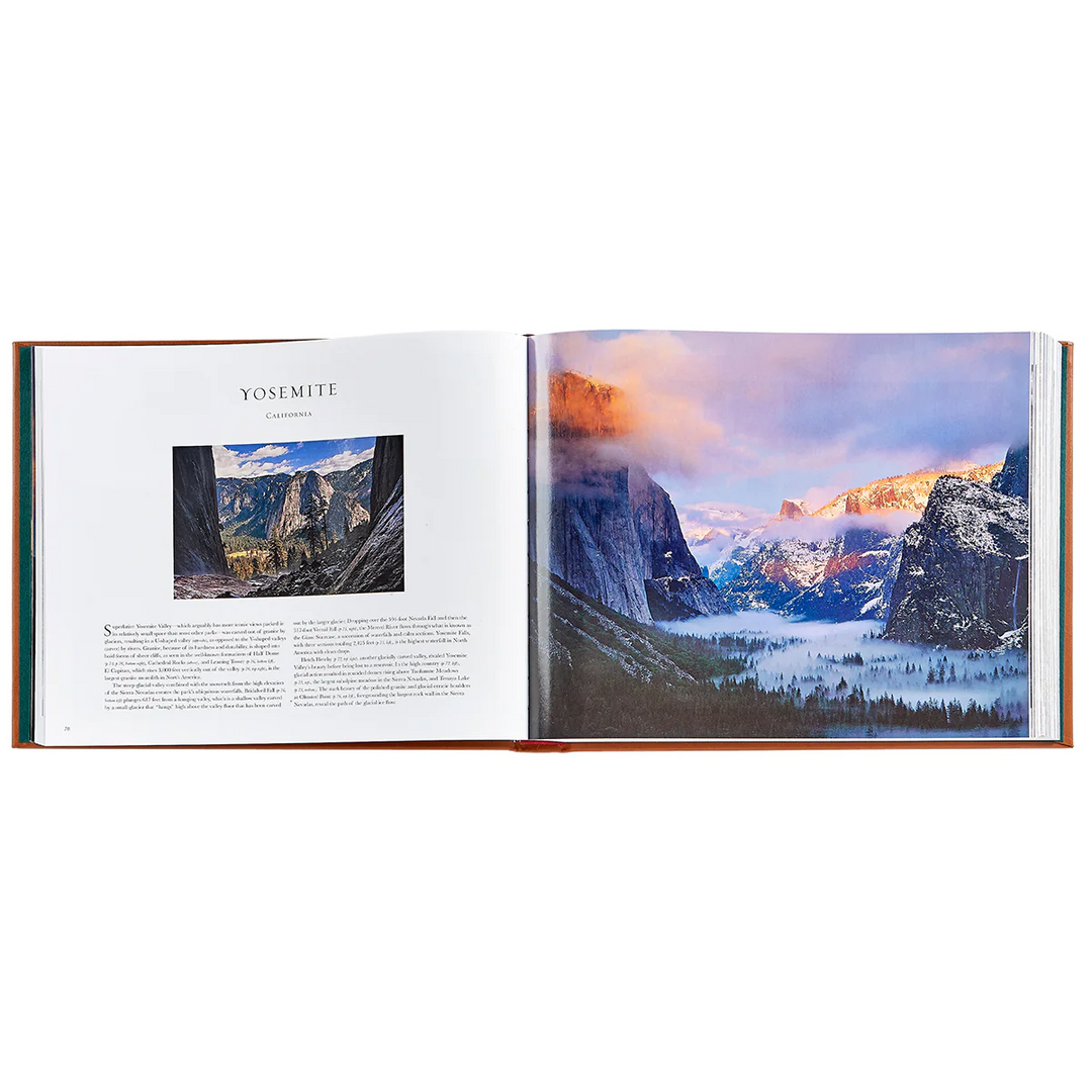 Treasured Lands Tan Bonded Leather