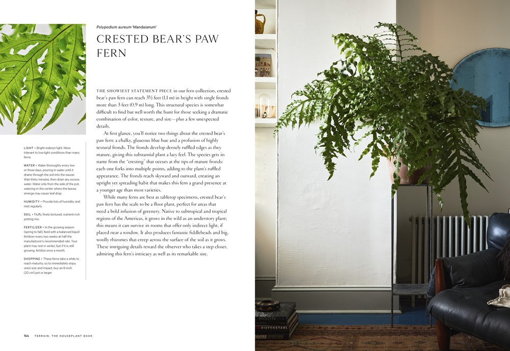 Terrain: The Houseplant Book