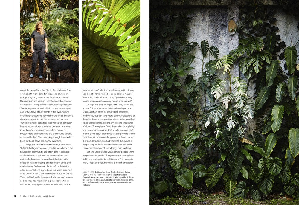 Terrain: The Houseplant Book