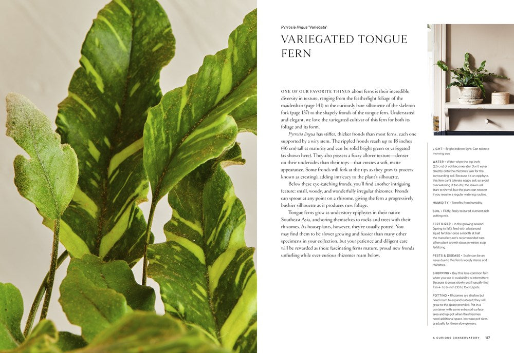 Terrain: The Houseplant Book