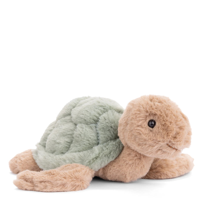 Baby Sandy - Green Turtle