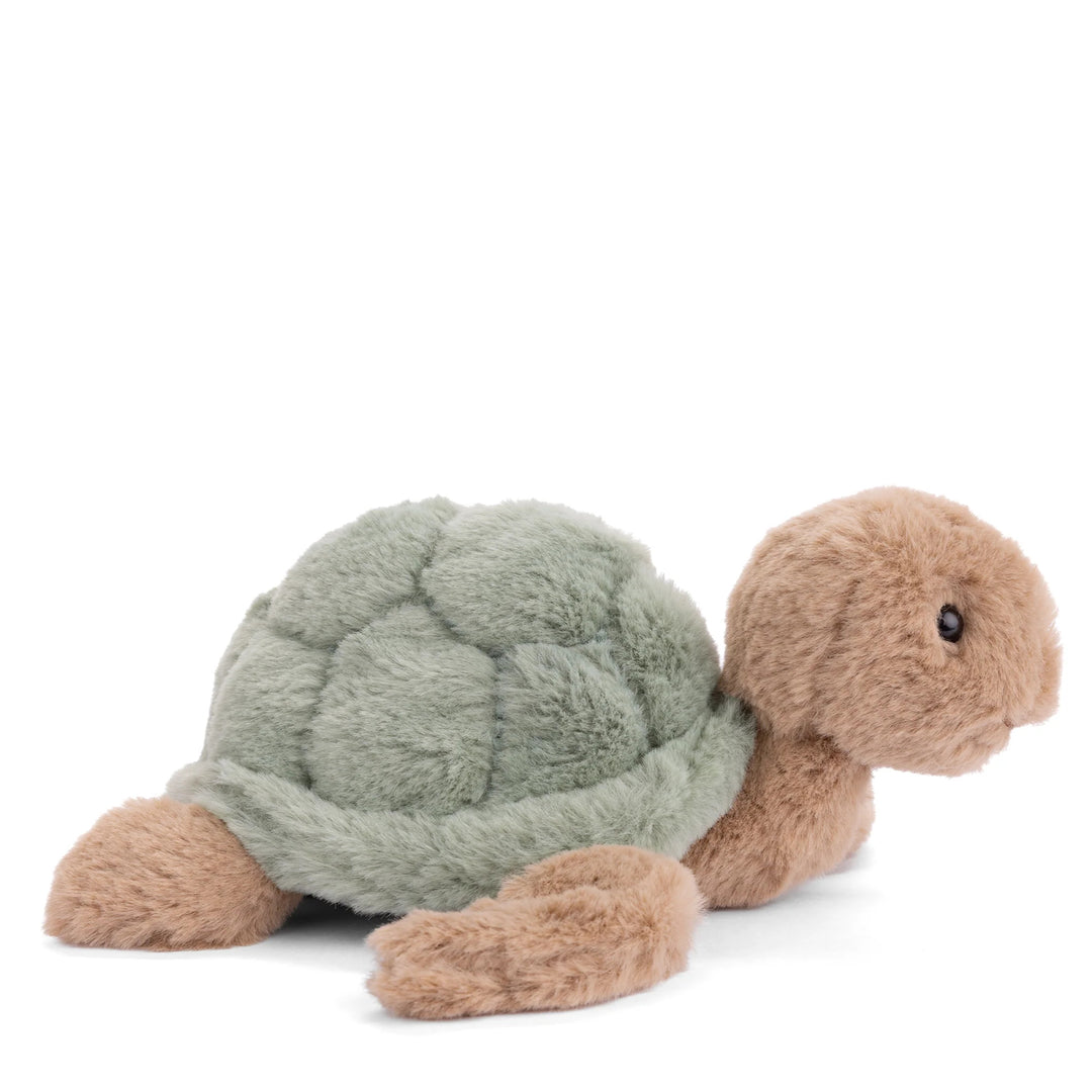 Baby Sandy - Green Turtle