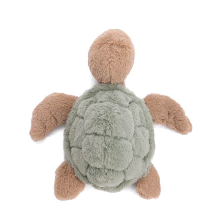 Baby Sandy - Green Turtle