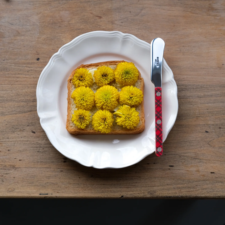 Bistrot Red Tartan Shiny Butter Spreader