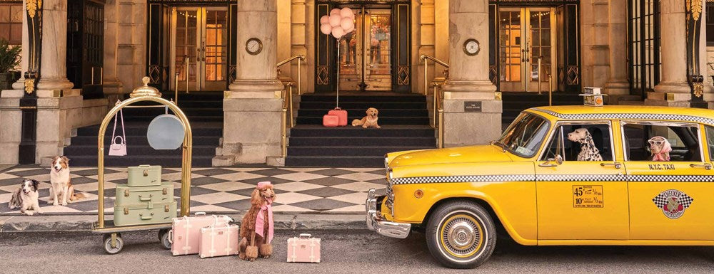 Gray Malin The Dogs of New York City 1000 Piece Puzzle – Galison