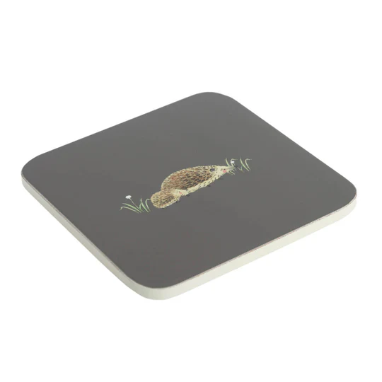 Hedgehogs Coasters Set Of Four