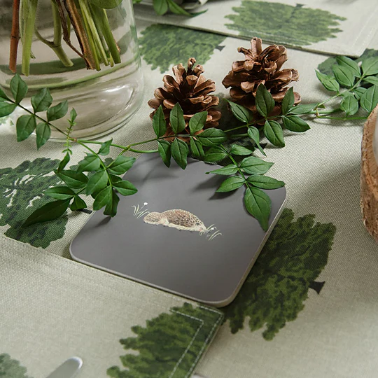 Hedgehogs Coasters Set Of Four