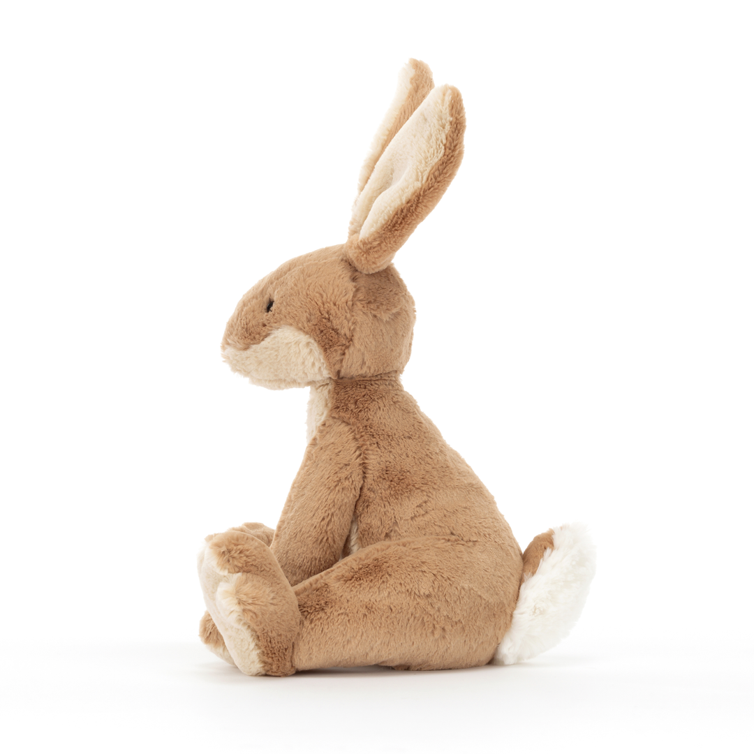 Horticus Hare