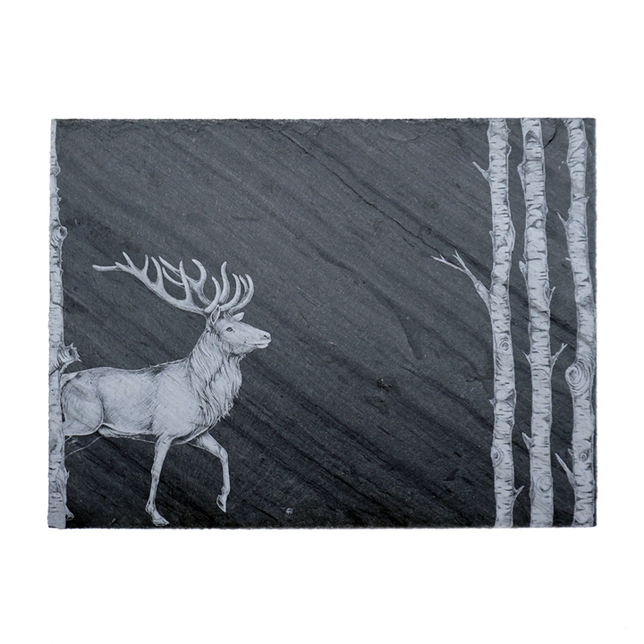 Laura Zindel Slate Rectangular Tray - Buck