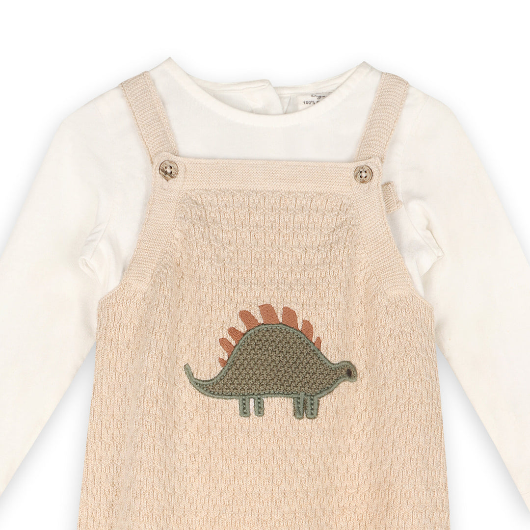 Organic Cotton Dino Applique Baby Knit Overall Set