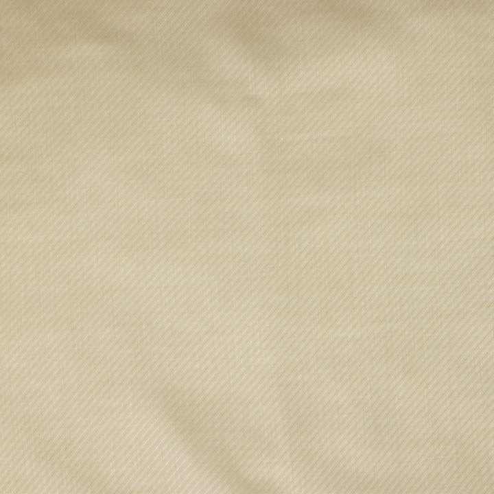 Noli Pillow Shams By SDH