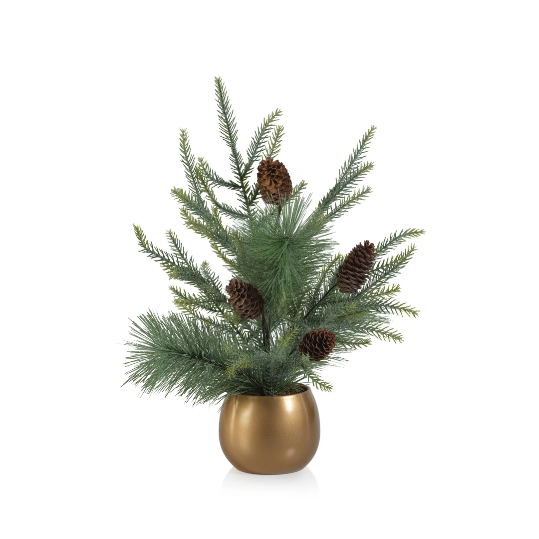 Noble Fir Tree In Gold Pot 19in