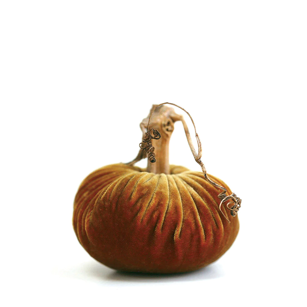Velvet Pumpkin Curry