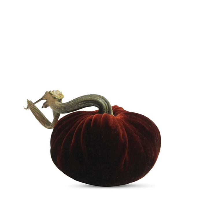 Velvet Pumpkin Saffron