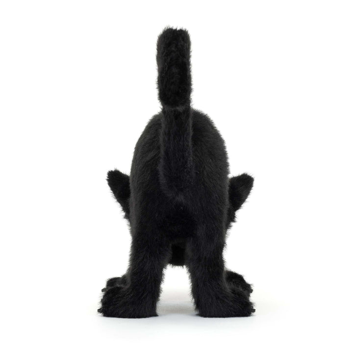 Spookipaws Cat