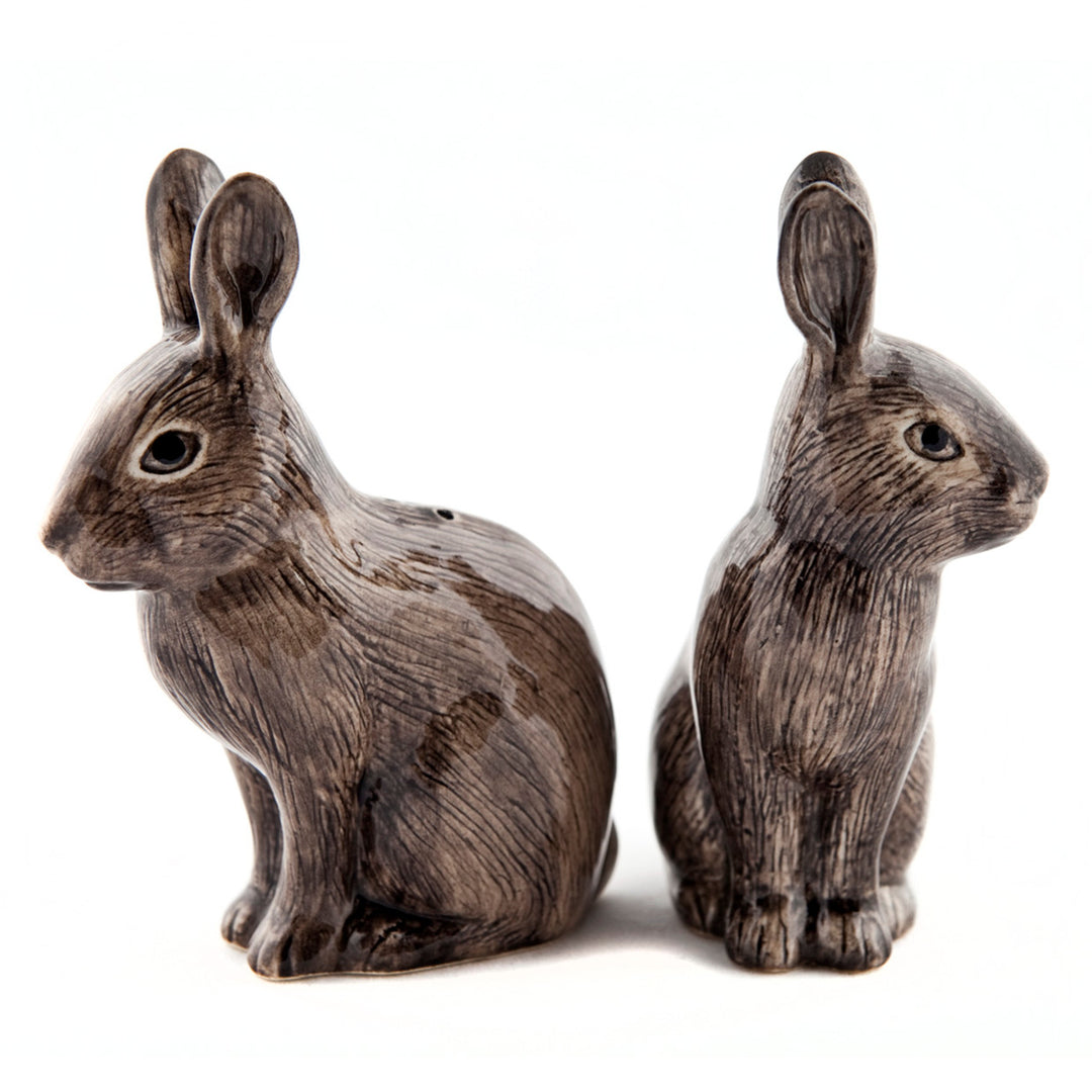 Wild Rabbit Salt -N- Pepper Set