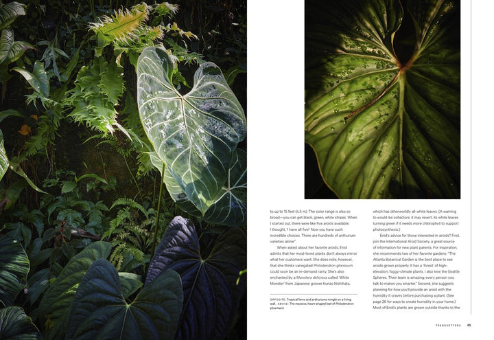 Terrain: The Houseplant Book