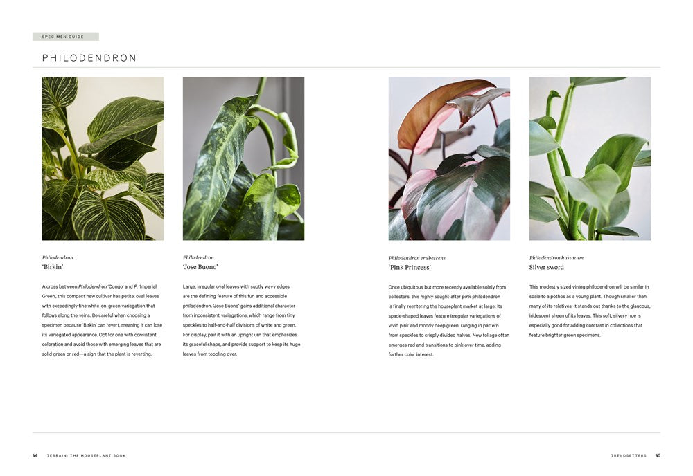 Terrain: The Houseplant Book