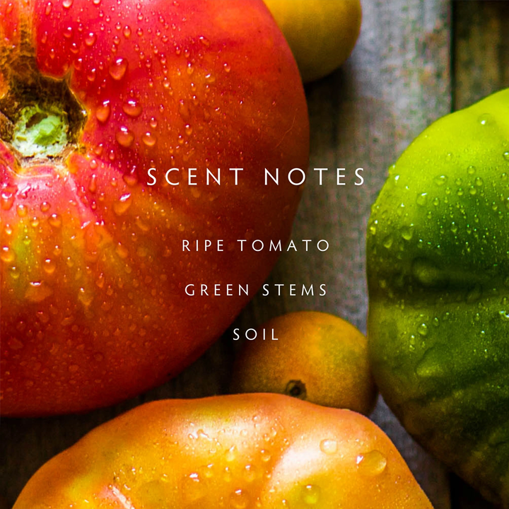 Heirloom Tomato 2-Wick Candle 11oz