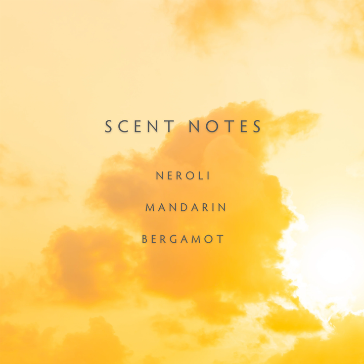Sun Day Reed Diffuser