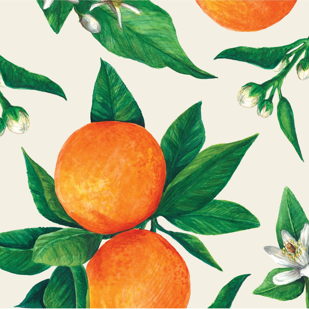 Orange Orchard Cocktail Napkins Pack of 20