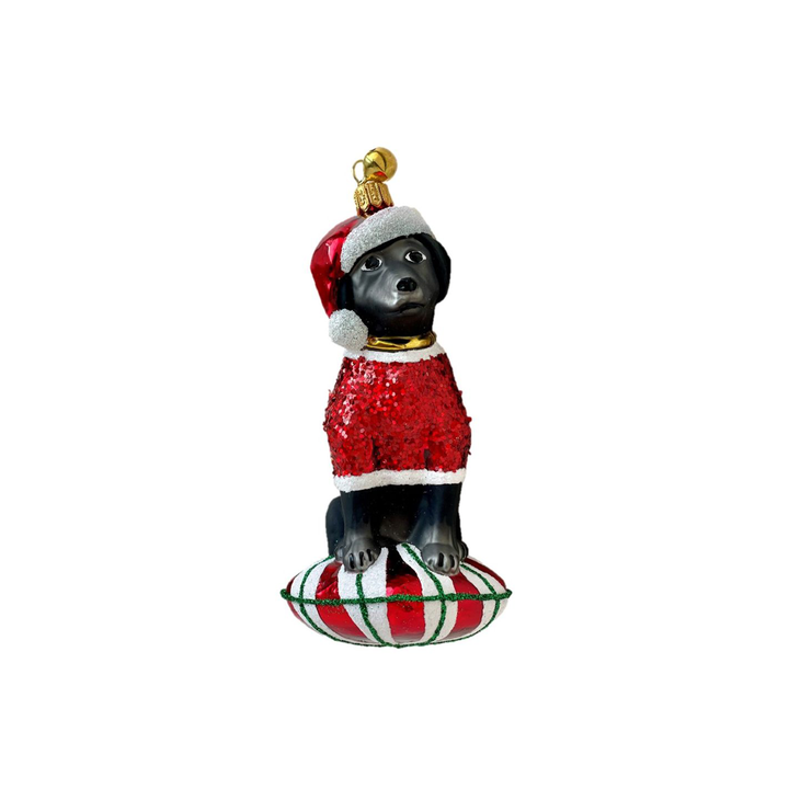 Lucky Ornament