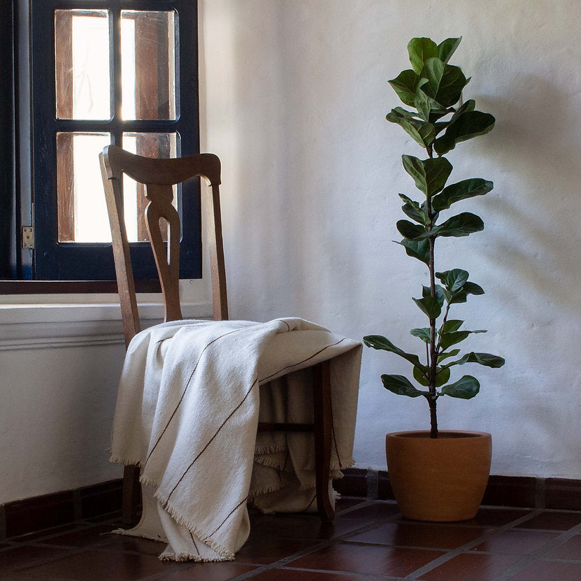 Linea Blanket Sepia King