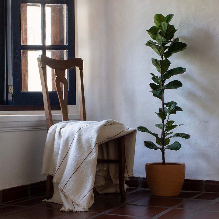 Linea Blanket Sepia King
