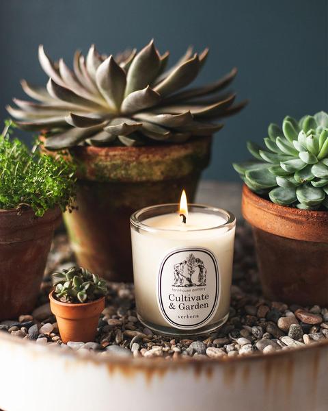 Cultivate & Garden Candle Verbena