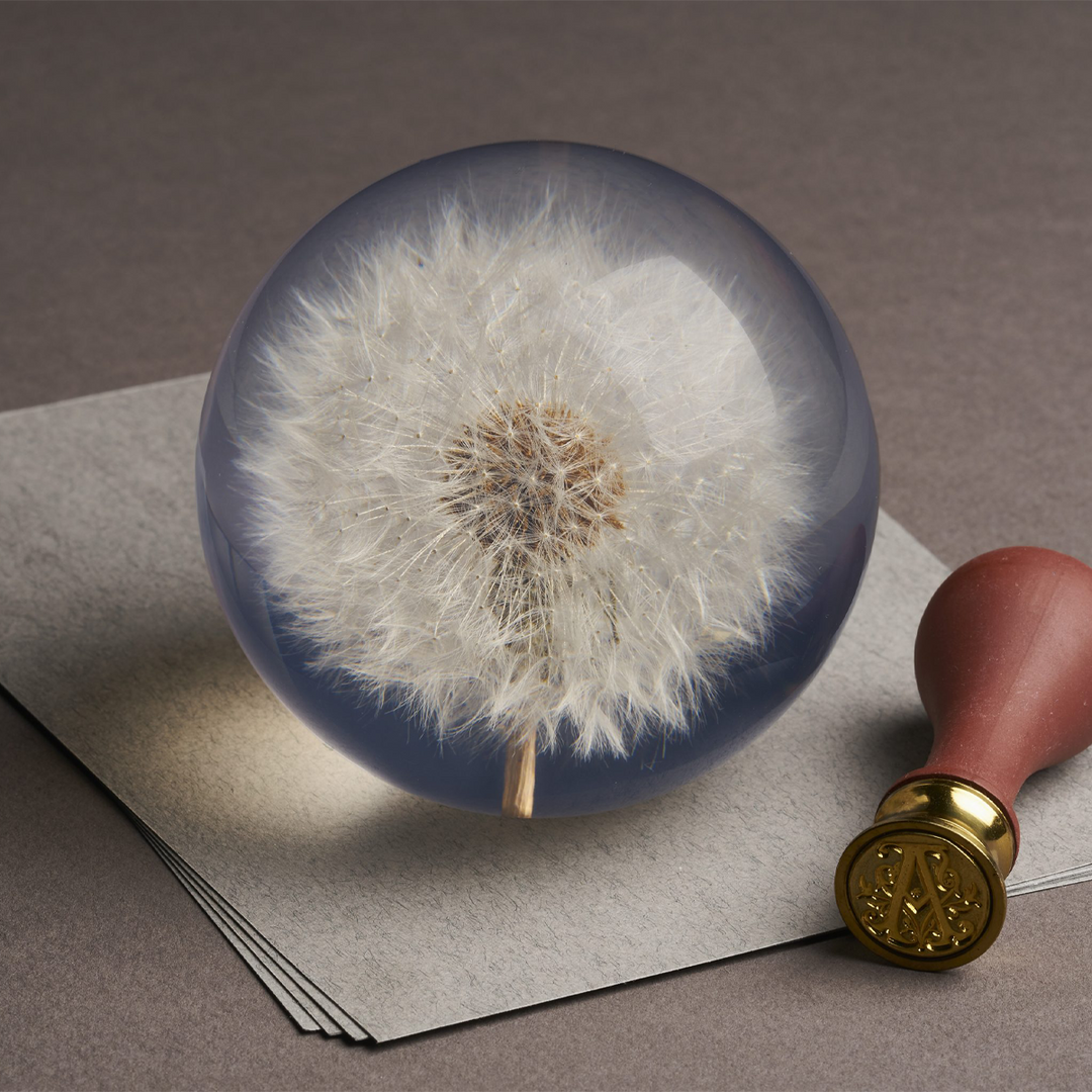 Dandelion Paperweight Large