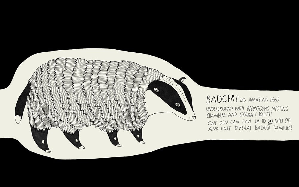 The Illustrated Compendium of Amazing Animal Facts