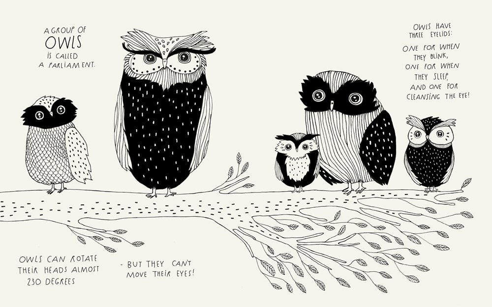 The Illustrated Compendium of Amazing Animal Facts