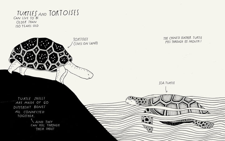 The Illustrated Compendium of Amazing Animal Facts