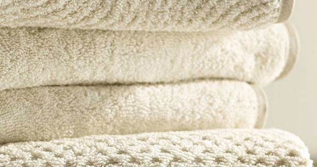 Lupo Terry Towels By The Purists